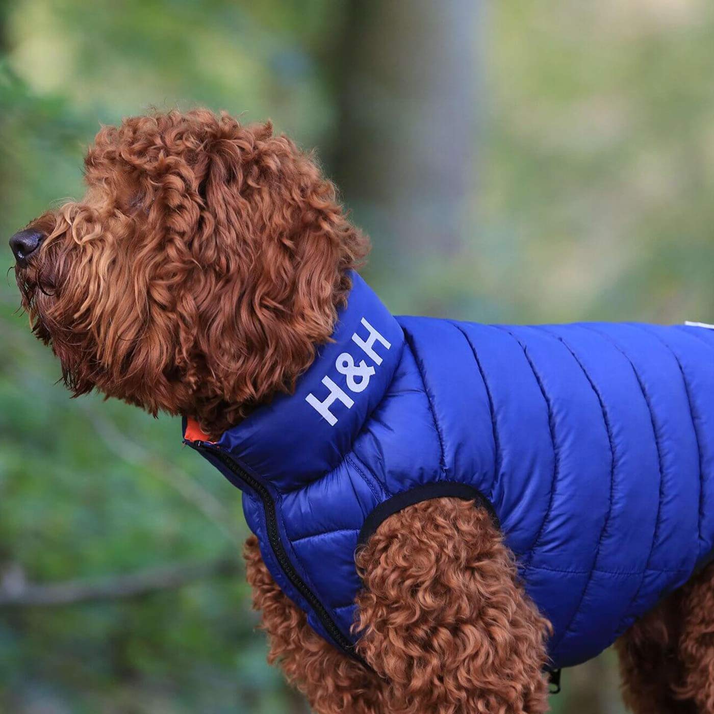 Puffer Jacket | Hugo & Hudson Dog Clothing | Lords and Labradors ...
