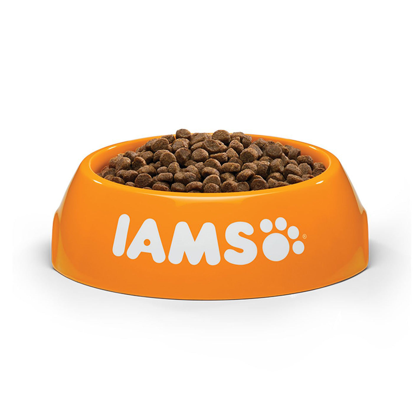 Iams proactive best sale kitten food