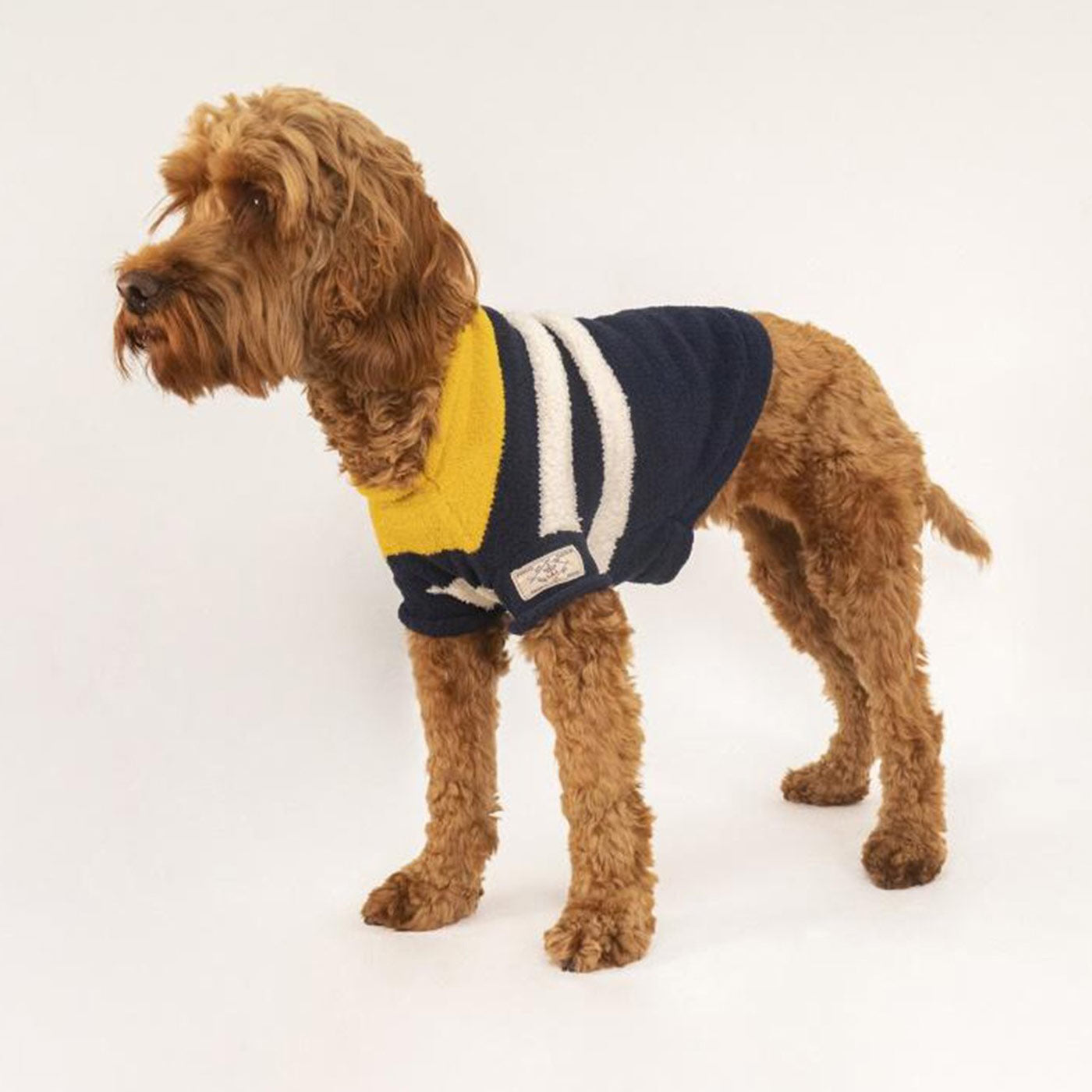 Medium clearance dog jumper