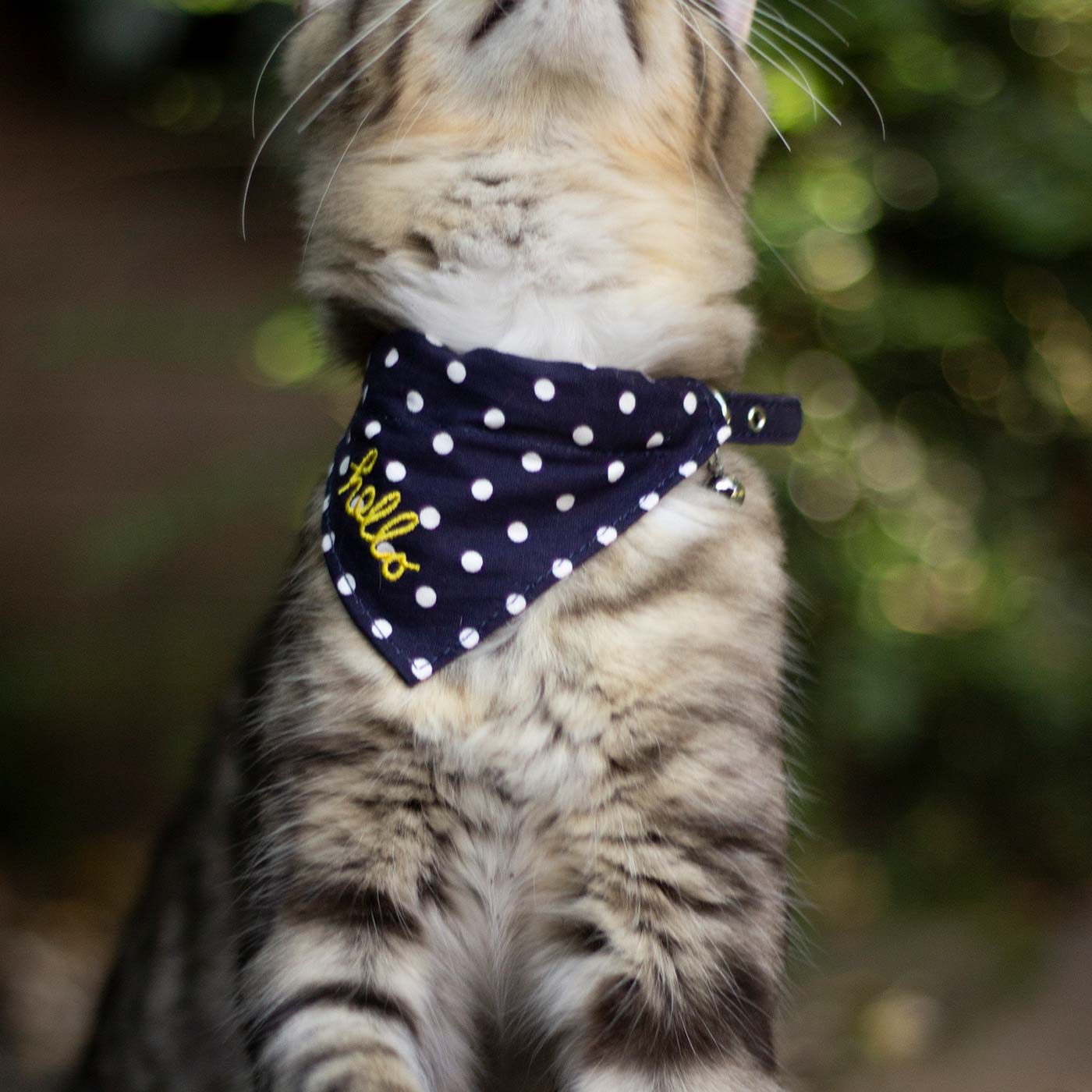 Cat neckerchief clearance