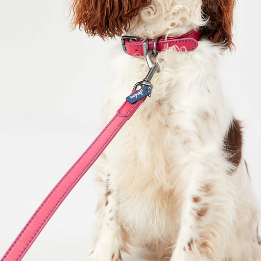 Joules Pink Leather Dog Lead