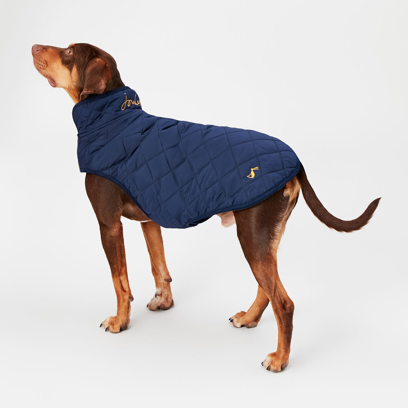 Joules Quilted Dog Coat