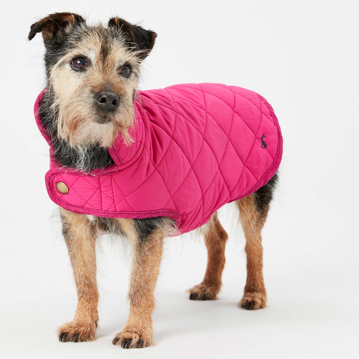 Joules sales dog jacket