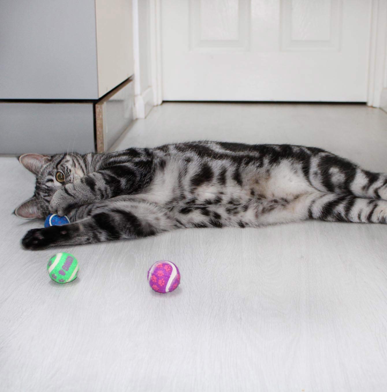 Cat tennis clearance ball