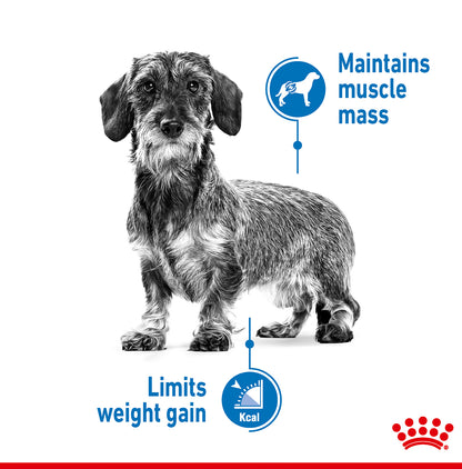 Royal Canin Light Weight Care Wet Adult Dog Food (Case of 12)