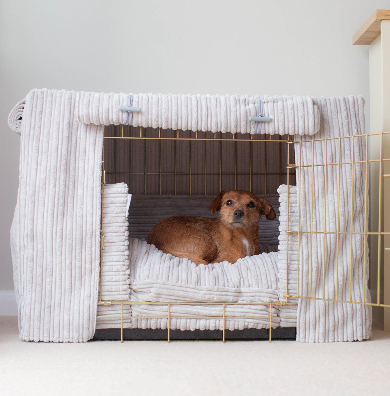 Lightweight 2024 dog crate