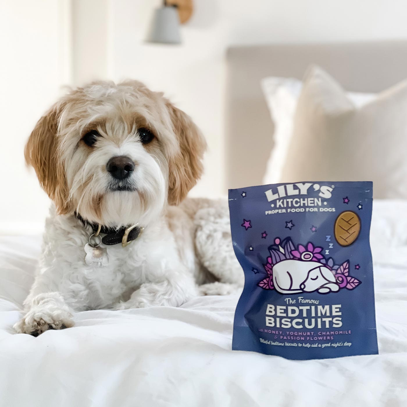 Lily's kitchen hot sale bedtime biscuits puppy