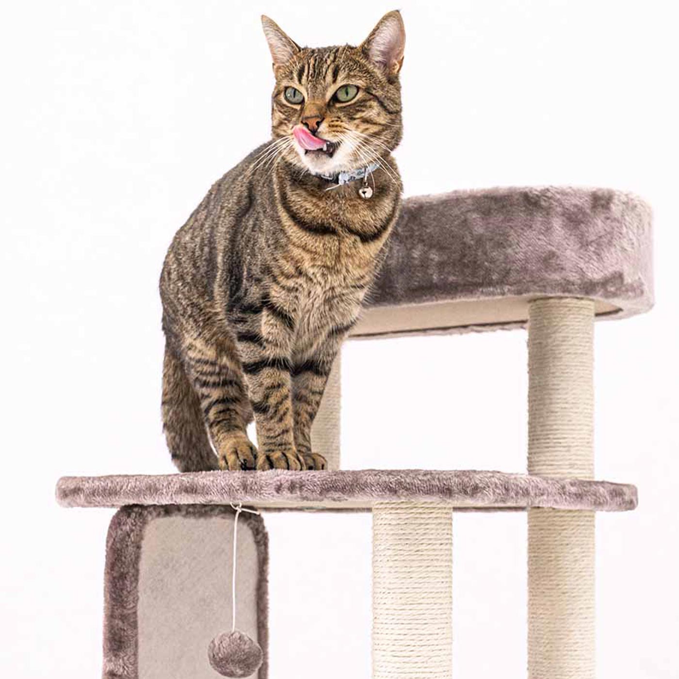 Little Rebels Little Rock 99cm Cat Tree