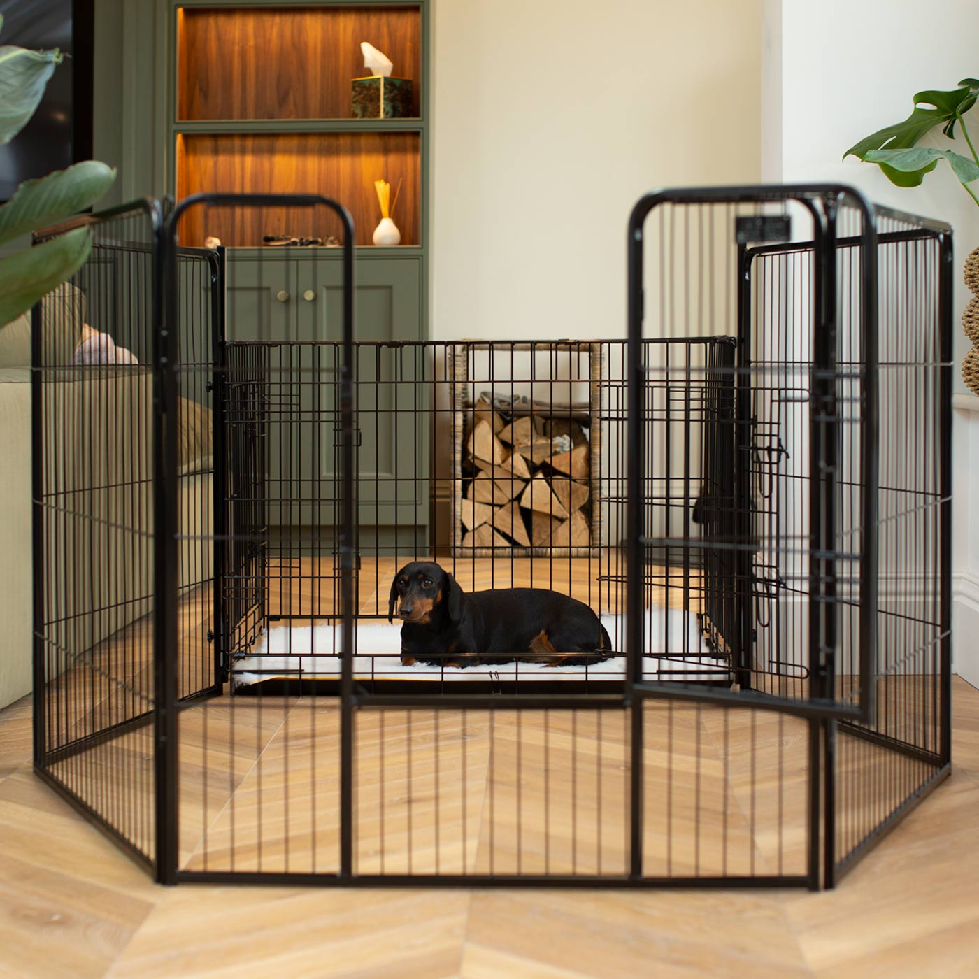 Best indoor deals puppy pen