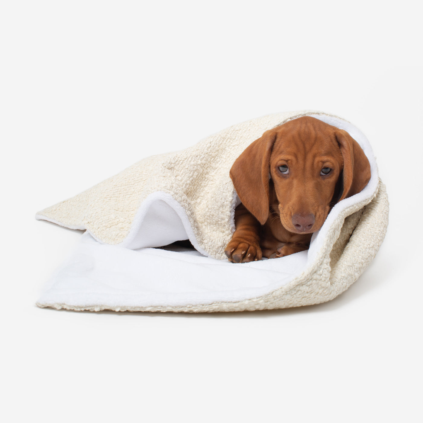 How to clean dog blankets sale