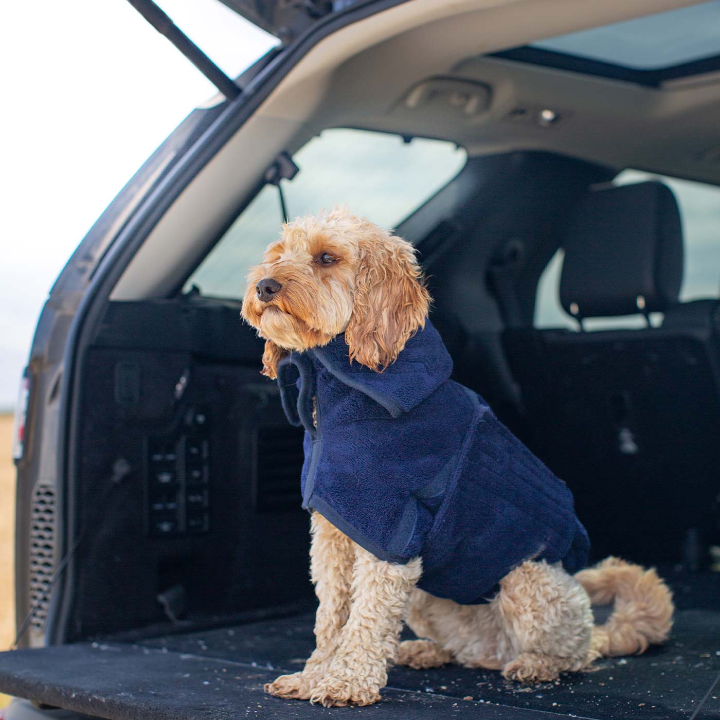 Bamboo Drying Coat in Navy by Lords Labradors