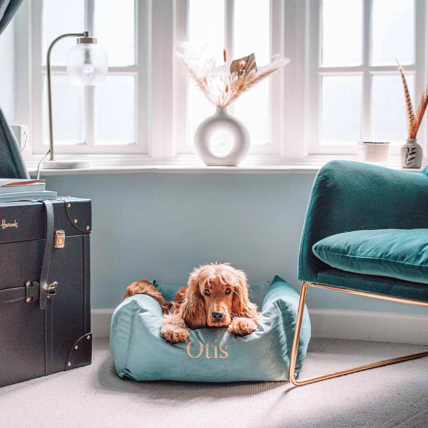 Luxury dog beds sales harrods