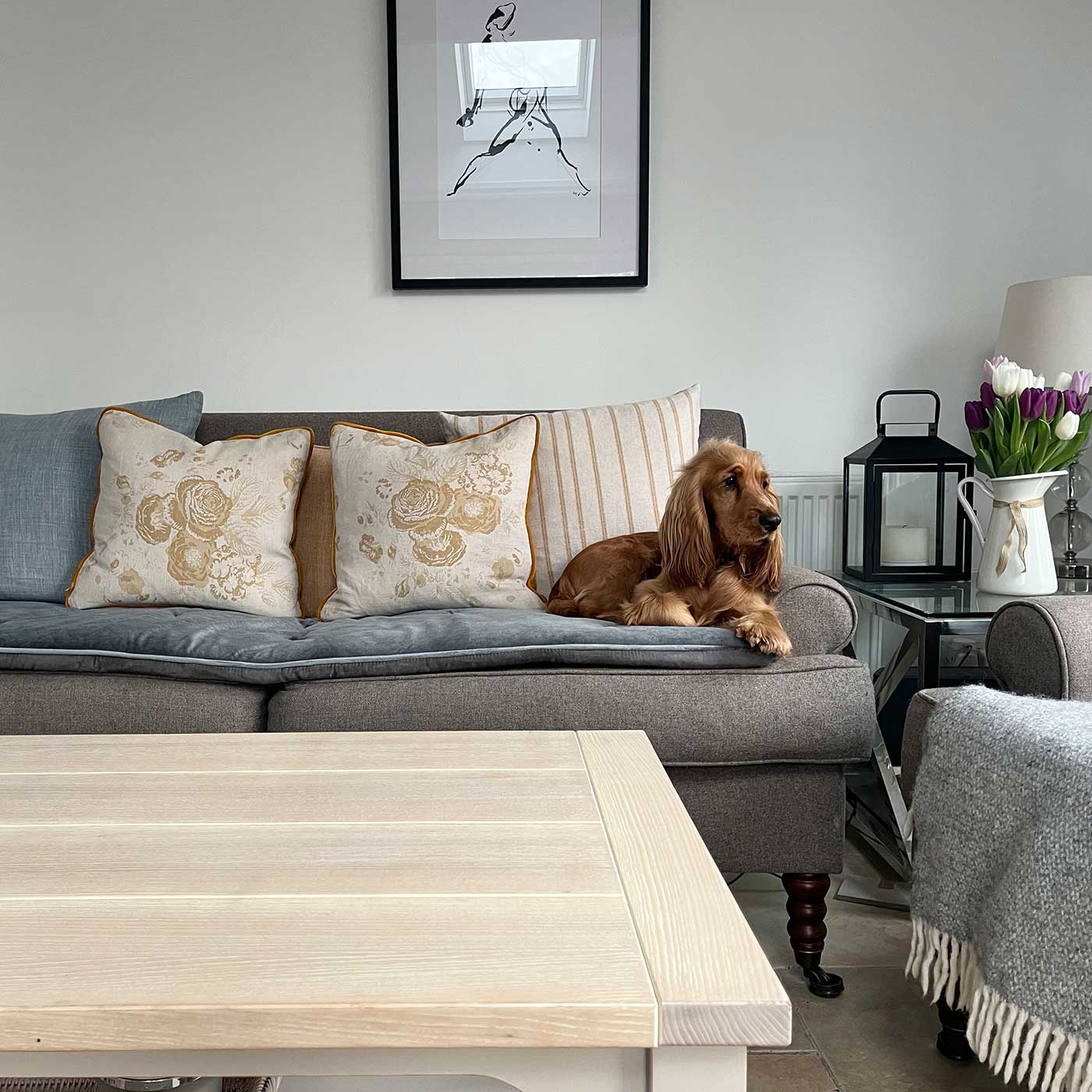 [colour:elephant velvet] Discover Our Luxury Velvet sofa Topper, The Perfect Pet sofa Accessory In Stunning Elephant Velvet! Available Now at Lords & Labradors