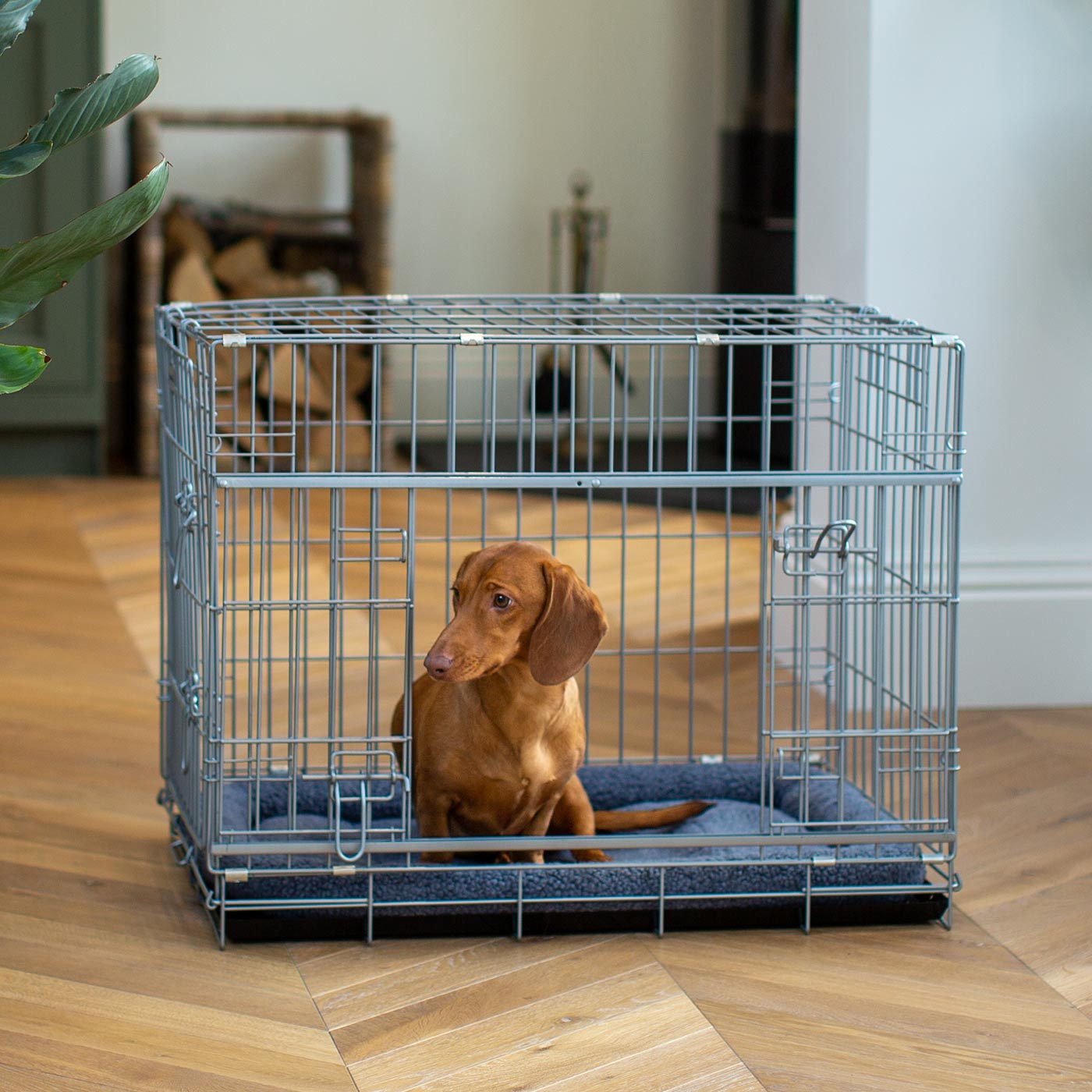 Gray 2025 dog crate