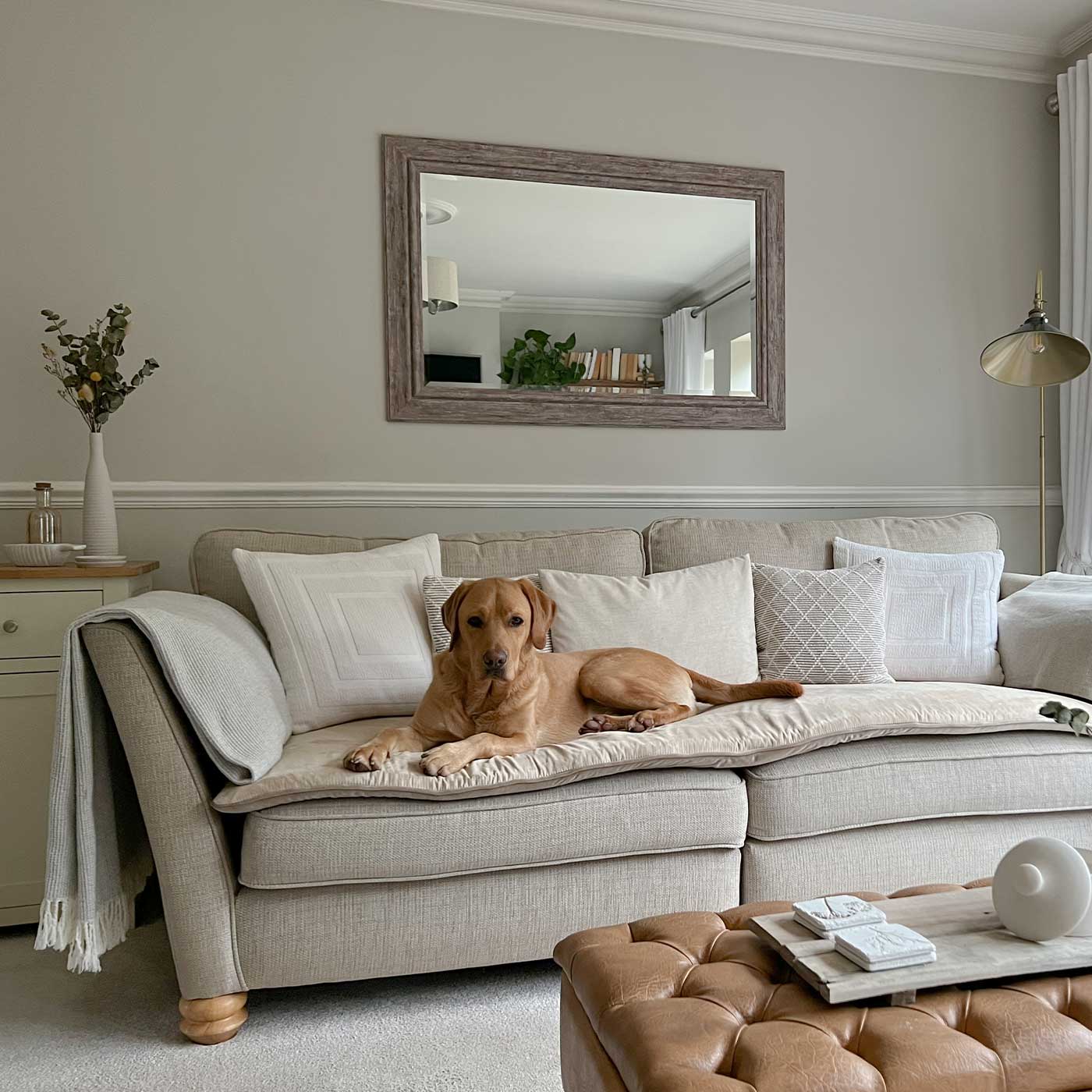 [colour:mushroom velvet] Discover Our Luxury Velvet sofa Topper, The Perfect Pet sofa Accessory In Stunning Mushroom Velvet! Available Now at Lords & Labradors