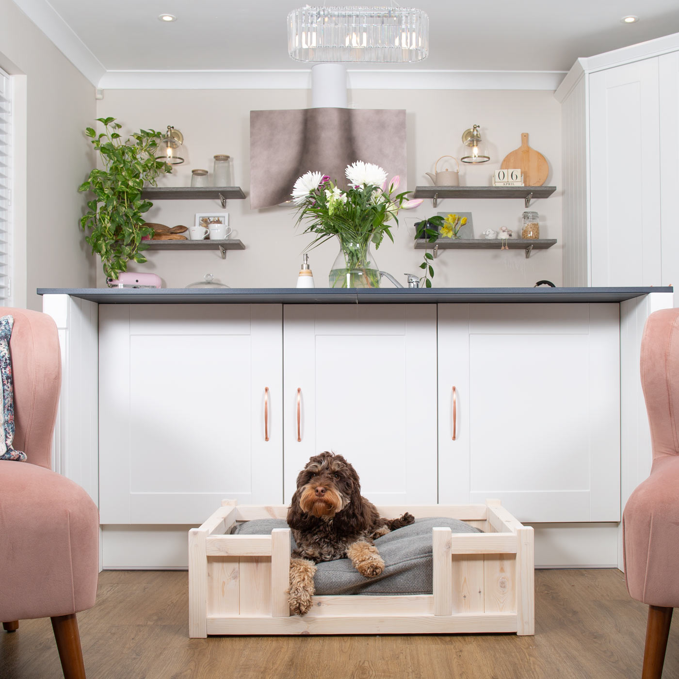 Dog bed in kitchen clearance unit