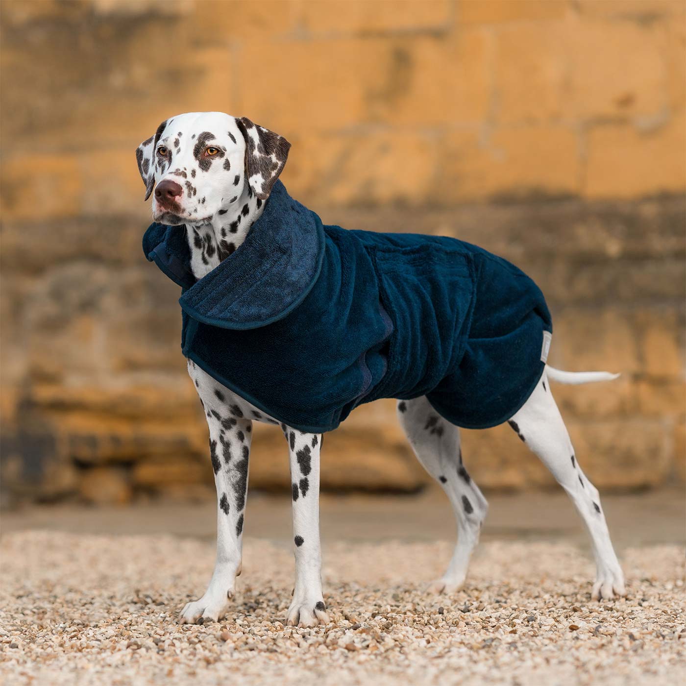 Personalised greyhound outlet coats