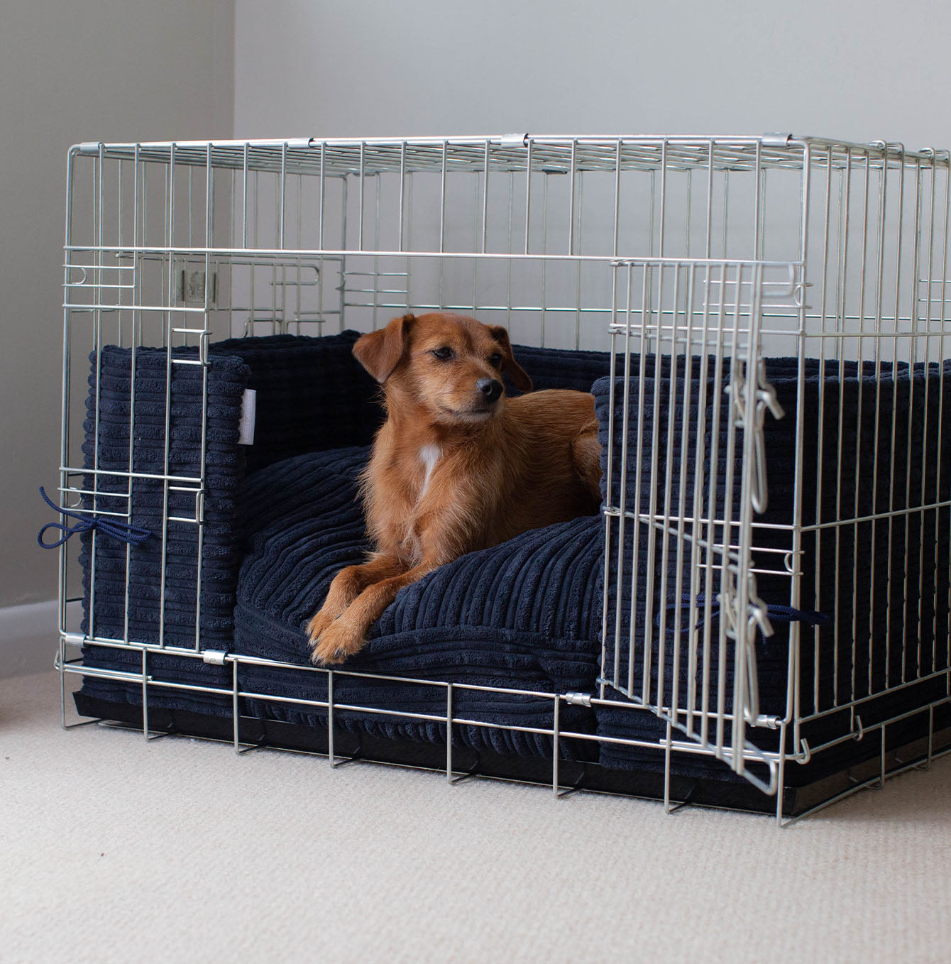 Essentials double door pet crate best sale