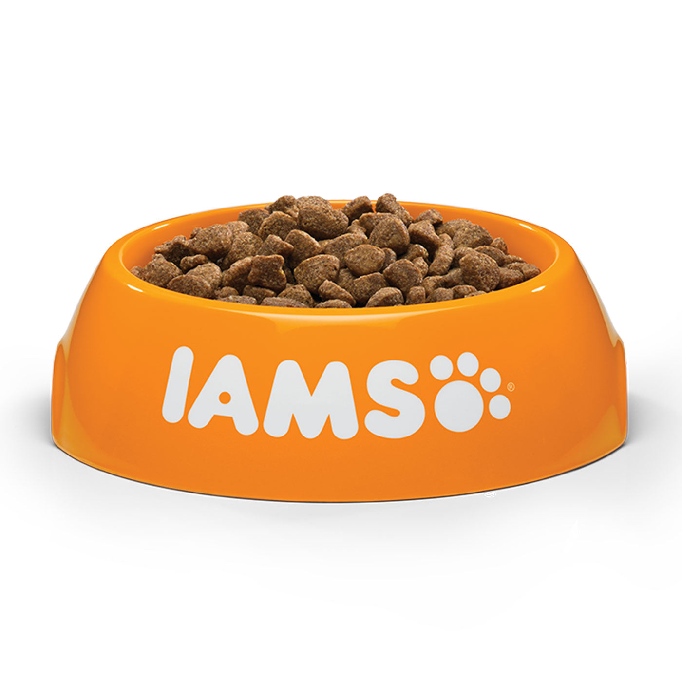 Iams ocean fish cheap dog food