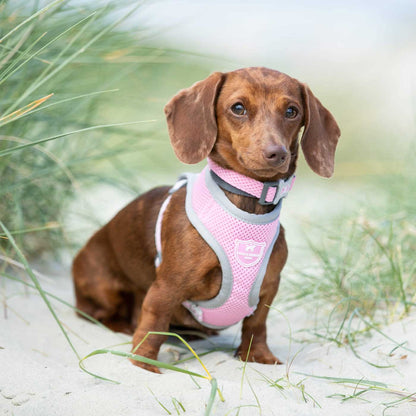 Hugo & Hudson Pink Mesh Dog Harness