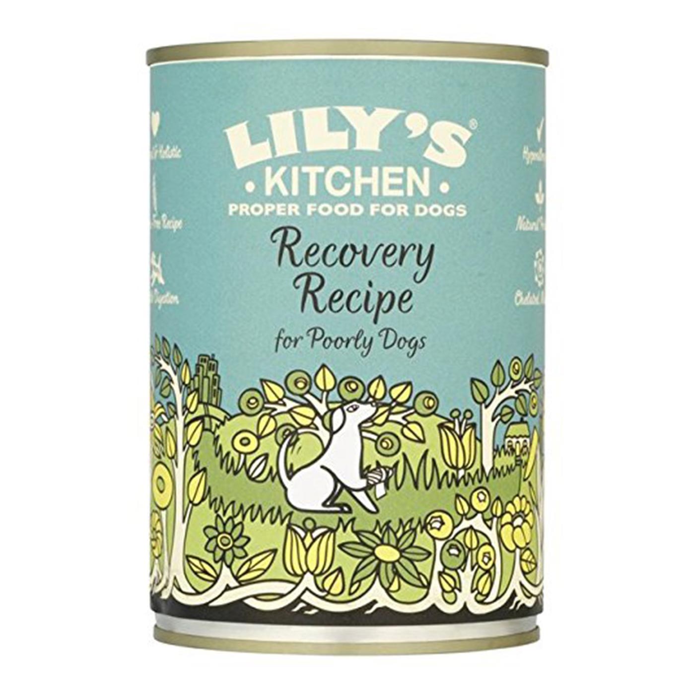 Lily's Kitchen Recovery Recipe Dog Food