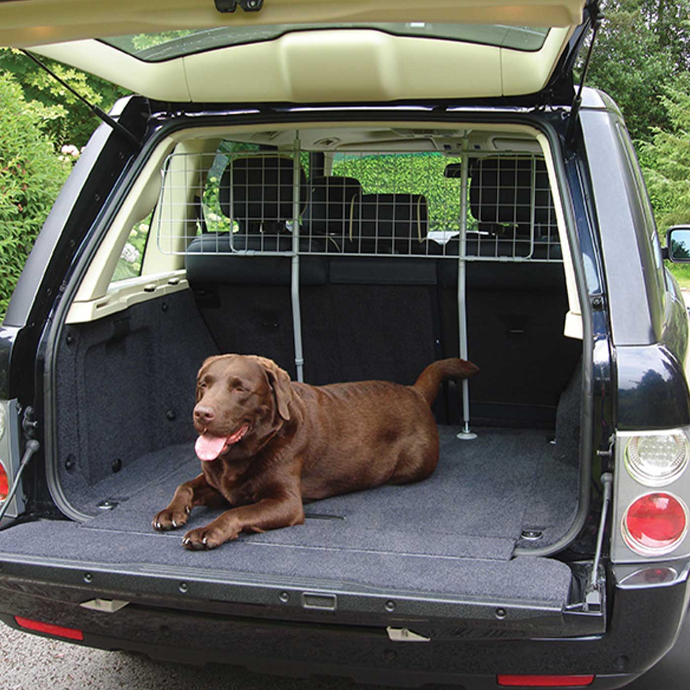 Dog store guard car