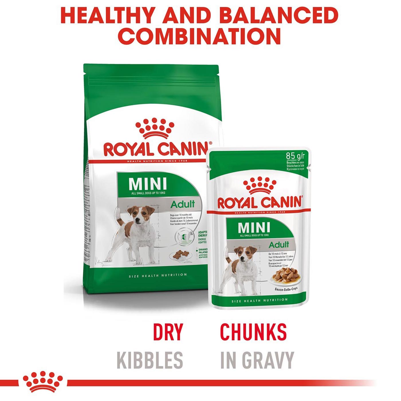 Royal Canin Adult Mini Breed Wet Dog Food