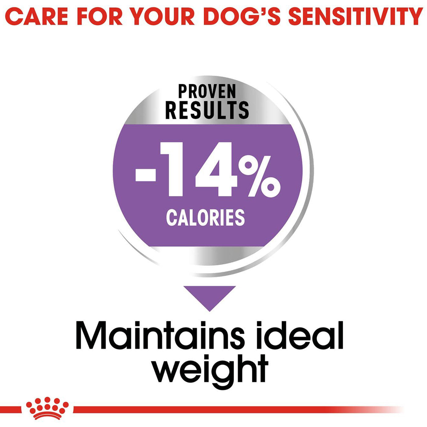 Royal canin outlet mini sterilised adult