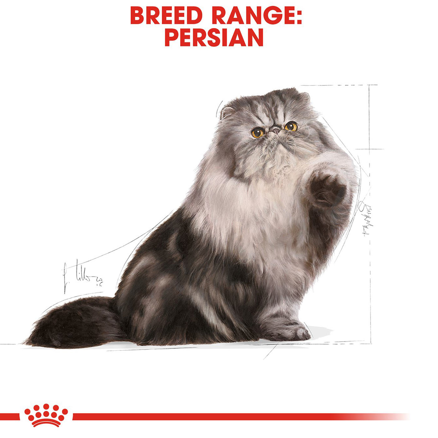 Royal Canin Persian Cat Food