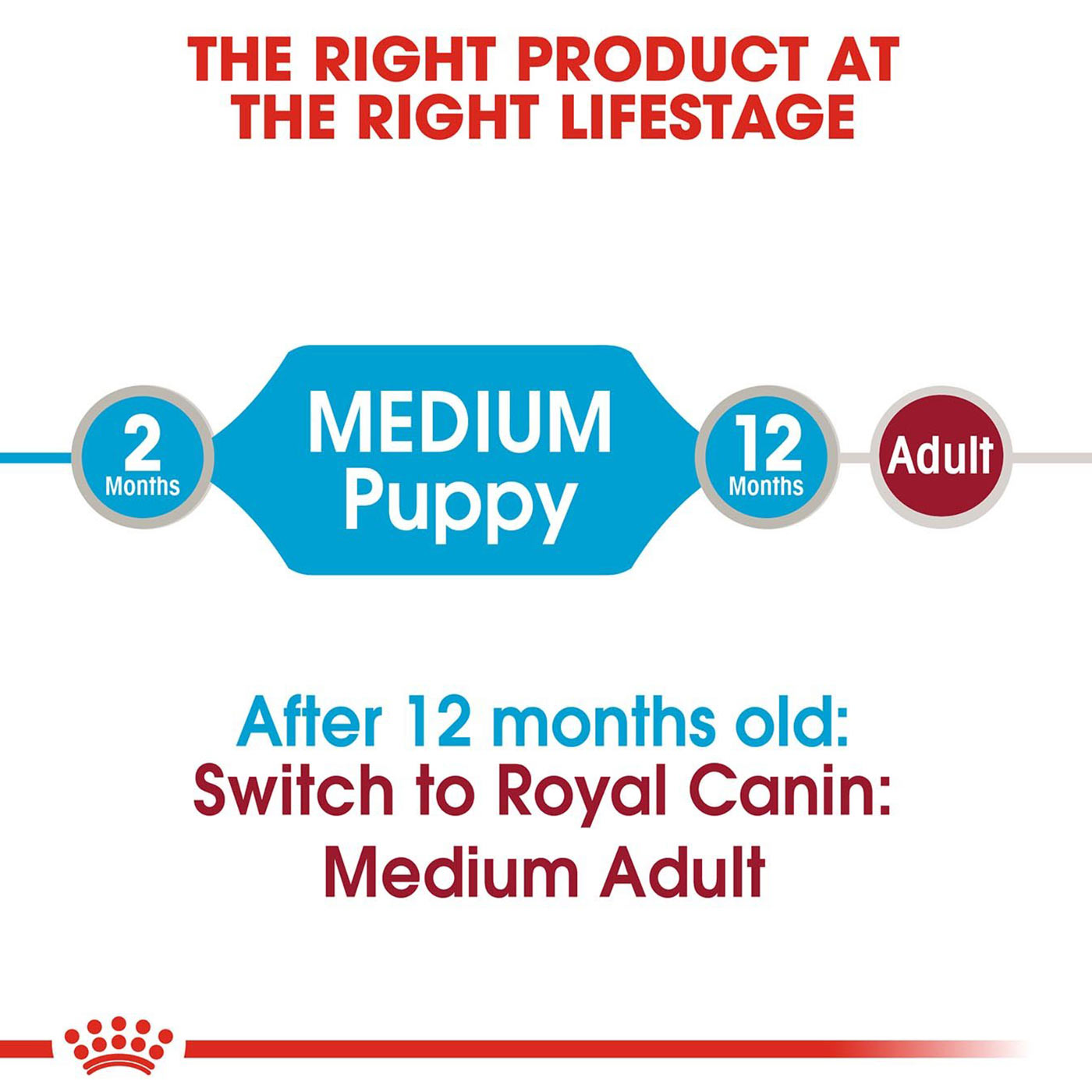 Royal Canin Puppy Medium Breed Wet Dog Food