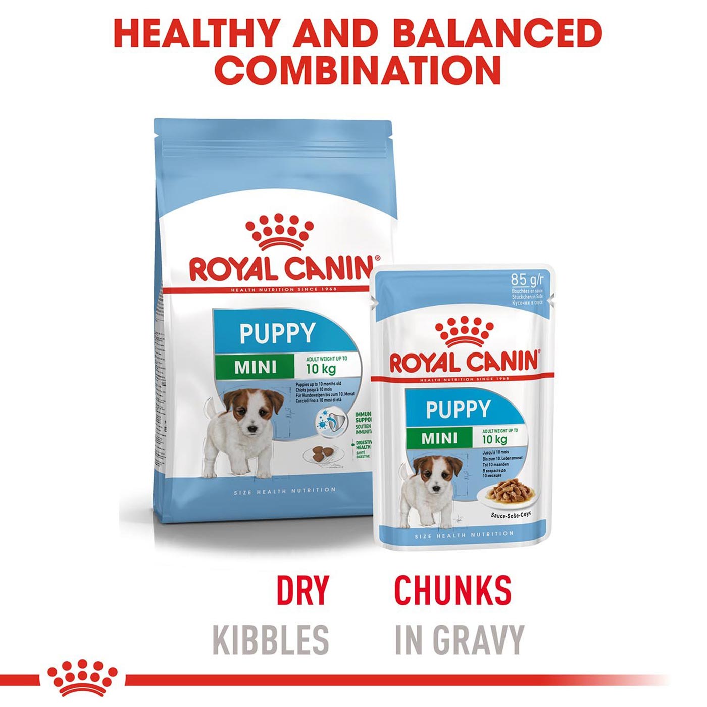 Royal Canin Puppy Mini Breed Wet Dog Food Case of 12