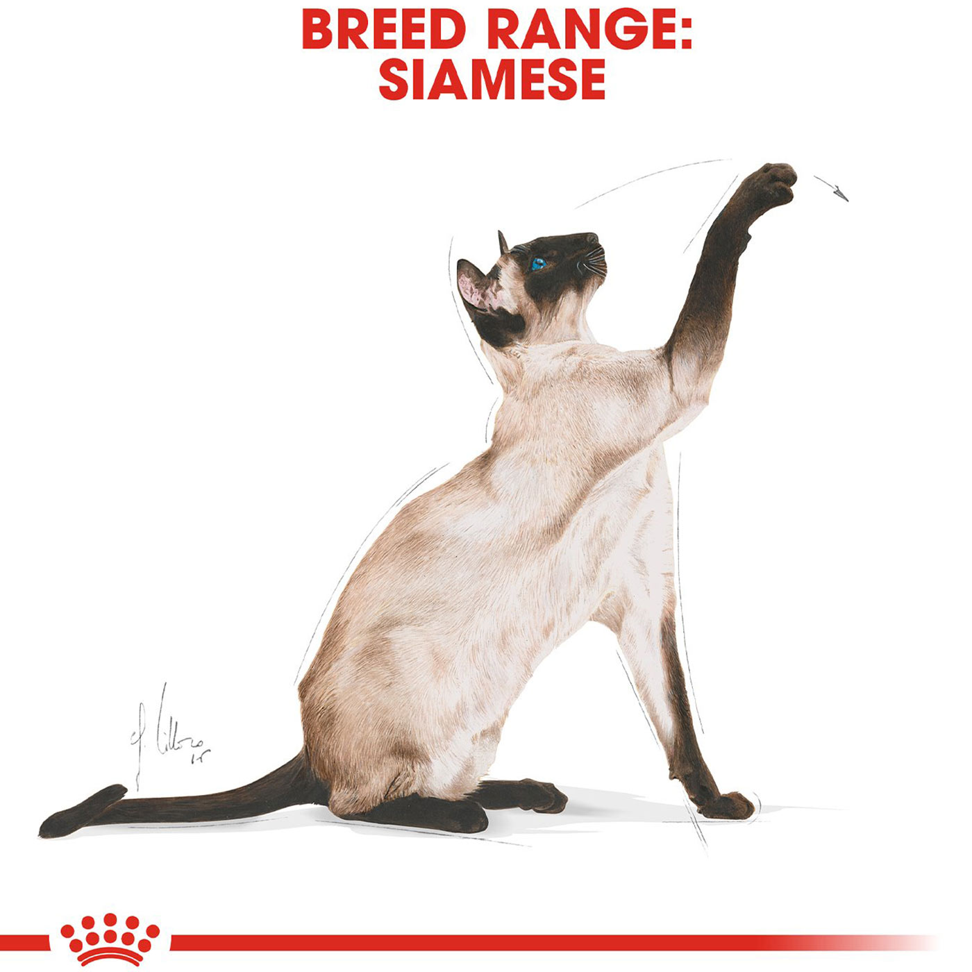 Royal Canin Siamese Cat Food