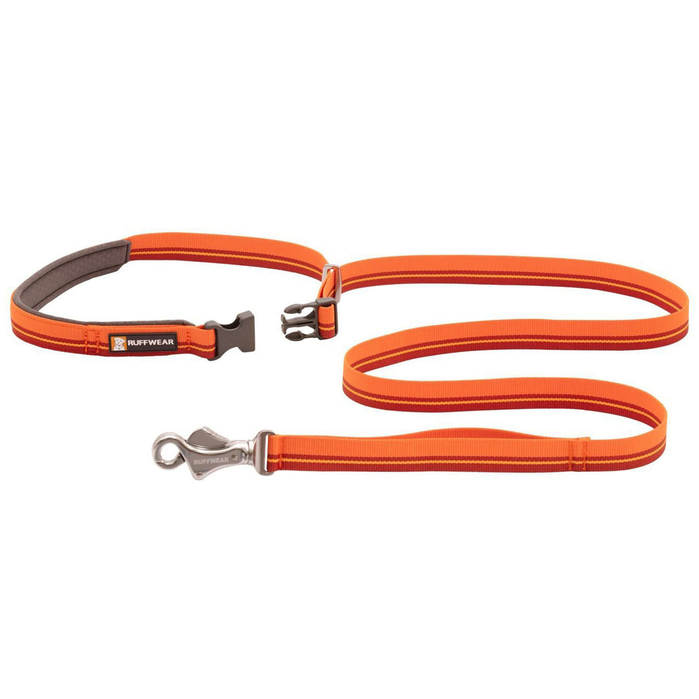 Rough wear dog outlet leash