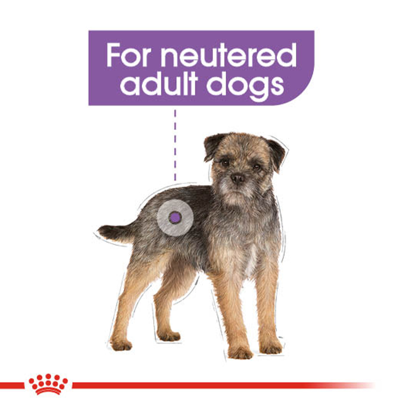 Royal Canin Sterilised Care Wet Adult Dog Food (Case of 12)