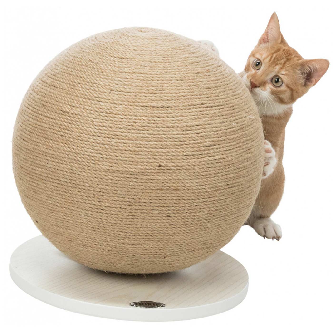 Cat toy on sale scratcher with ball