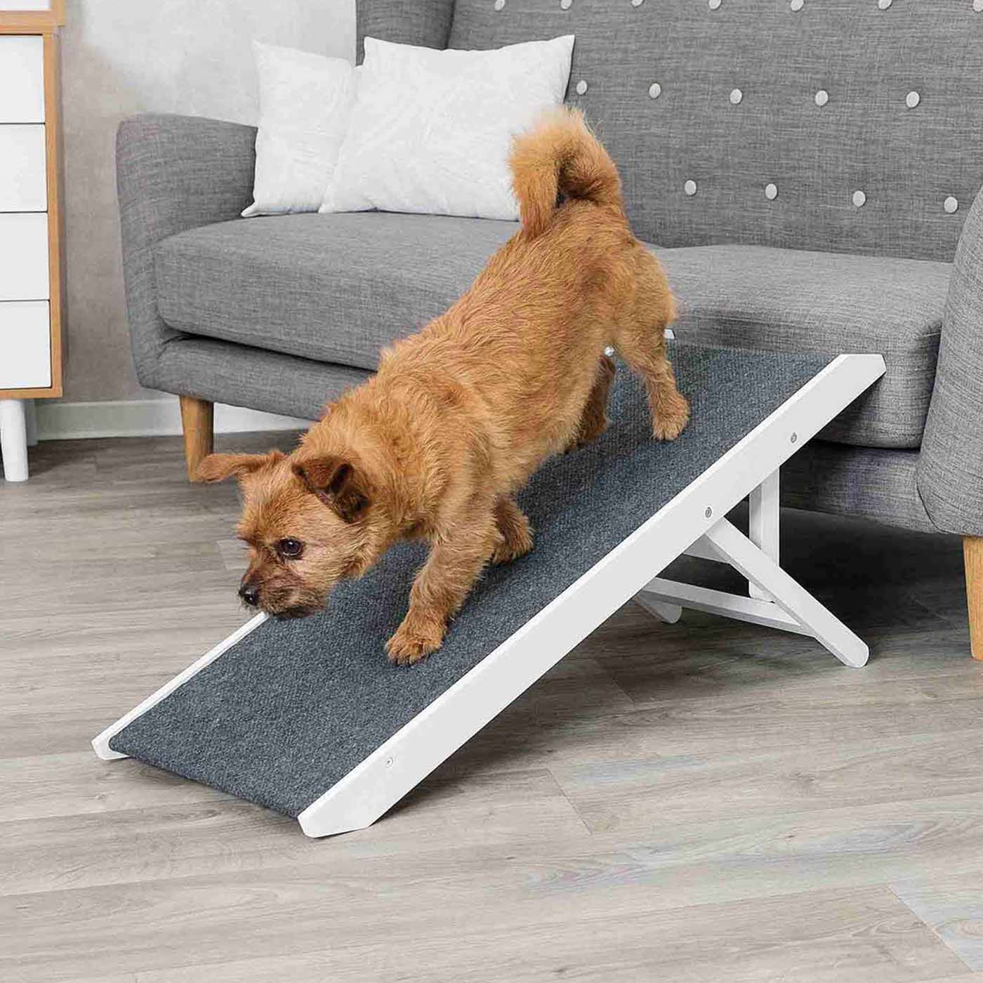 Trixie Indoor Dog Ramp