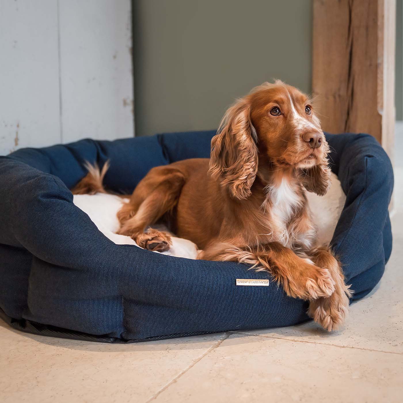 Discover our luxury twill oval dog bed in beautiful Denim, the ideal choice for dogs to enjoy blissful nap-time, featuring reversible inner cushion with raised sides for dogs who love to rest their head for the ultimate cosiness! Handcrafted in Italy for pure pet luxury! Available now at Lords & Labradors 