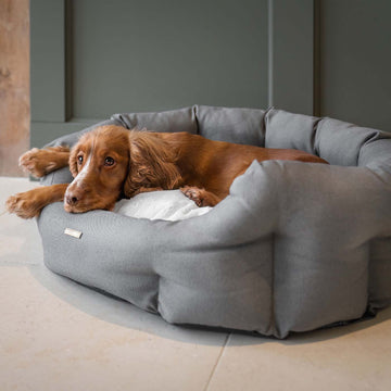 Cockapoo Beds, Collars, and Accessories | Lords & Labradors